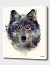 Curioos Persevere