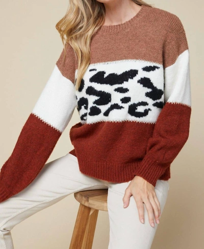 Entro Color Block Sweater In Leopard Print In Black