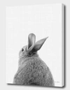 Curioos Rabbit Tail