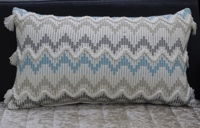 Vibhsa Chevron Throw Pillow With Braid And Tasssels In Multi