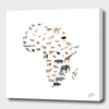 Curioos Wild Africa