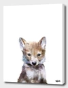 Curioos Little Wolf