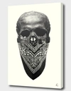 Curioos Original Gangsta