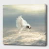 Curioos Free Falling Dream