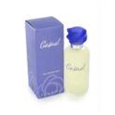 Paul Sebastian Casual By  Fine Parfum Spray 4 oz