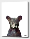 Curioos Little Bear