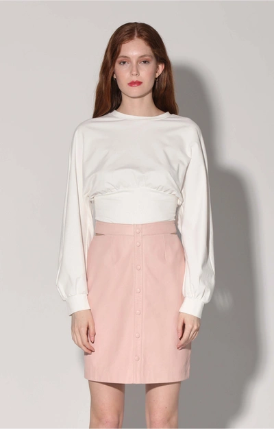Walter Baker Viola Skirt In Ballet