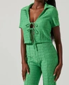 Astr Zoey Textured Tie Front Crop Top In Green