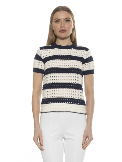 Alexia Admor Chloe Stripe Short Sleeve Open Knit Top In Blue