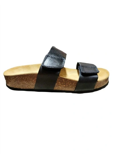 Plakton Cult Sandal - Medium Width In Negro In Black