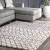 NULOOM MOROCCAN BARBARA AREA RUG