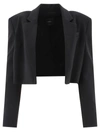 Pinko Spencer Shirt Cut Jacket In Black