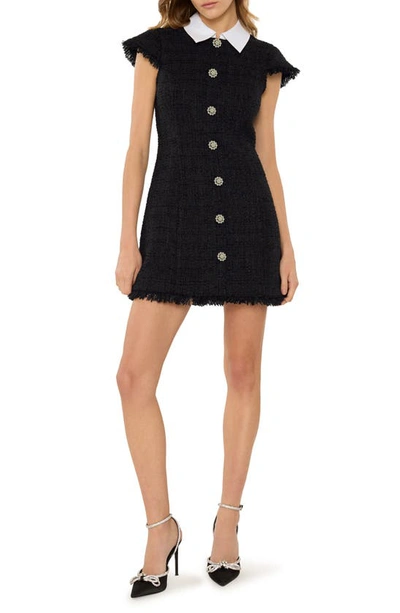 Likely Riello Tweed Dress In Black