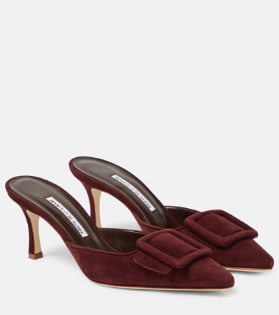 Manolo Blahnik Maysale Suede Buckle Mules In Dred6025