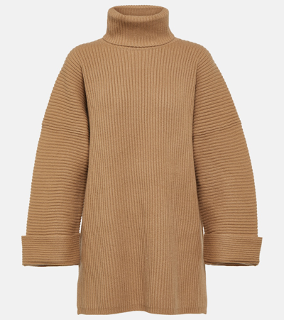 Max Mara Dula Oversized Rib Knit Wool Turtleneck In Brown