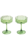 Fazeek Two Wave Coupe Glasses In Green