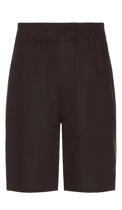 Siedres 短裤 – 棕色 In Brown