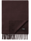 Zegna Violet Oasi Cashmere Scarf In Lilas