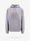 Diesel Sweatshirt In Grey