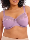 Elomi Morgan Full Figure Underwire Bra In Wisteria