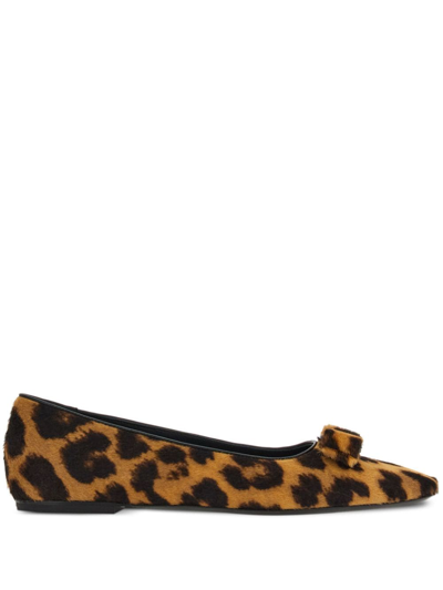 Ferragamo Siwar Leopard-print Bow Ballet Flats In Multicolor