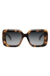 Celine Bold 3 Dots Square Sunglasses In Blonde Havana