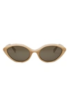 Celine Cat Eye Sunglasses In Beige/ Brown