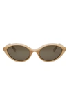 Celine Cat Eye Sunglasses In Brown