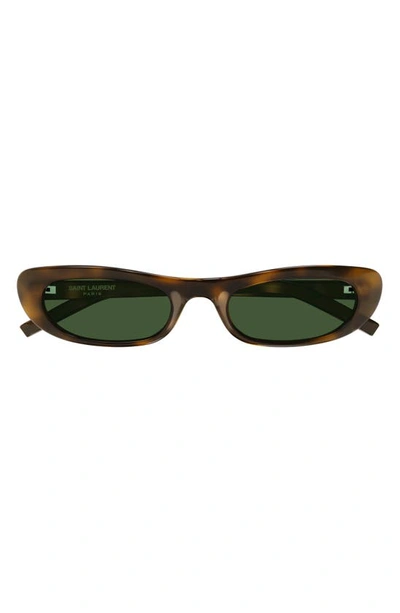 Saint Laurent Shade 53mm Panthos Sunglasses In Havana