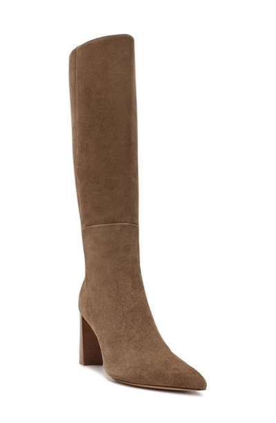 Alexandre Birman Elisa Pointed Toe Boot In Tan