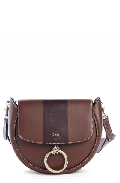 Chloé Arlene Leather Saddle Crossbody Bag In Chocolate