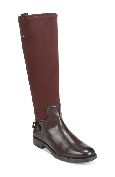 Franco Sarto Merina Knee High Boot In Castagno