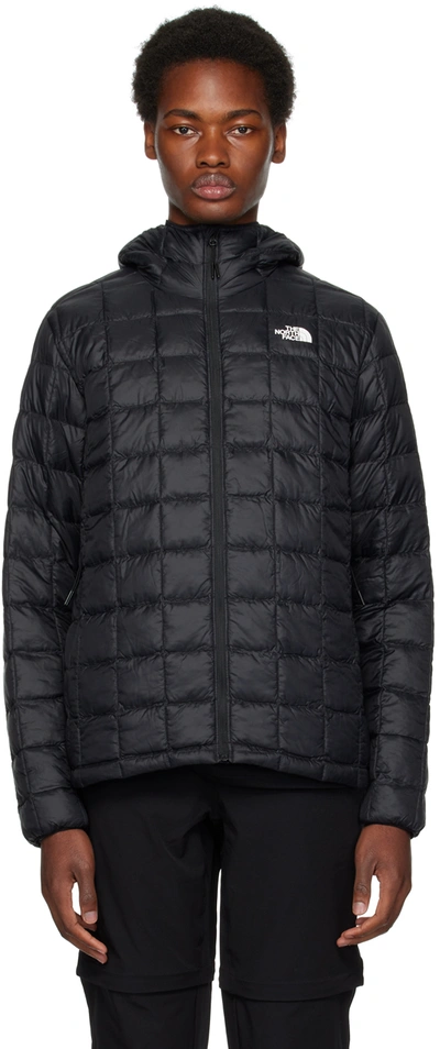 The North Face Black Thermoball Eco 2.0 Jacket In Jk3 Tnf Black