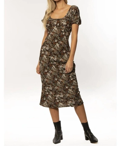 Amuse Society Floral Fitted Midi Dress In Black