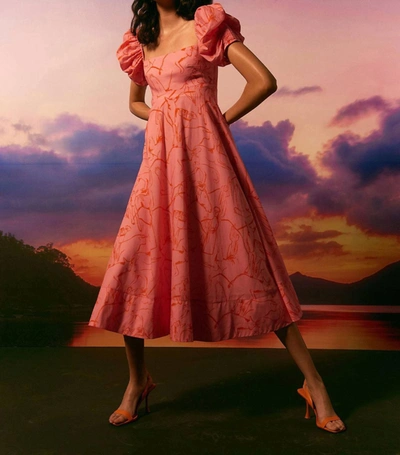De Loreta Calla Dress In Rosa Print In Pink
