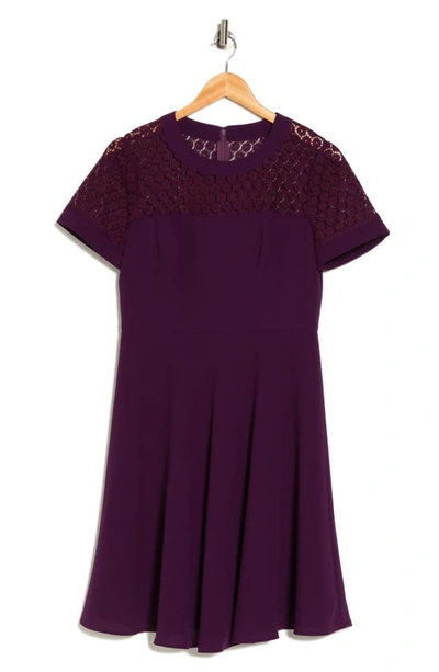 Focus By Shani Lace Yoke Short Sleeve Fit & Flare Dress In Berry