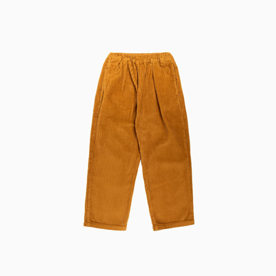 The New Society Kids'  Pants In Velvet In Brown
