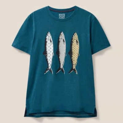 White Stuff Mid Teal Pattern Fish Graphic T Shirt In White