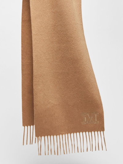 Max Mara Logo Embroidered Fringed Scarf In Multi-colored