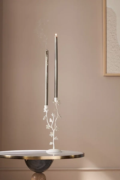 Erin Fetherston For Anthropologie Dulcette Metal Candelabra In Neutral