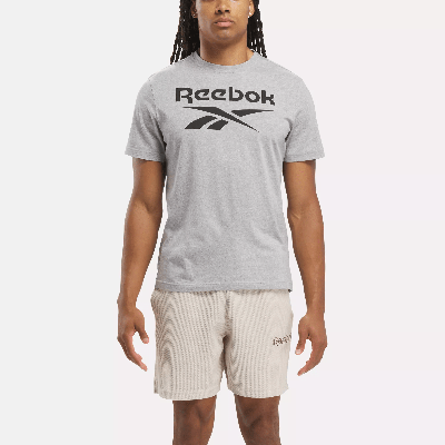 Reebok Identity Big Stacked Logo T-shirt In Grey