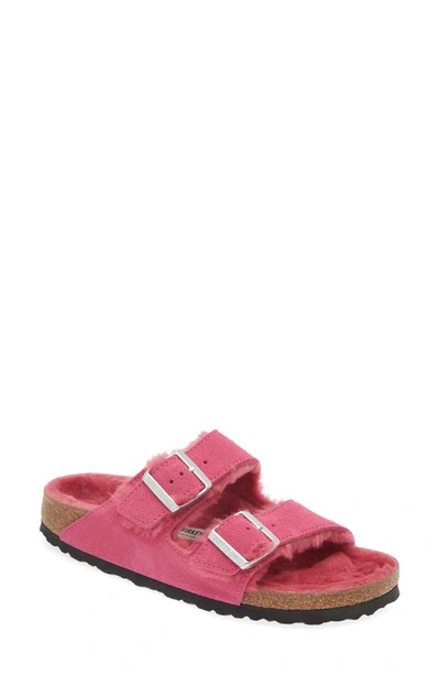 Birkenstock Arizona Genuine Shearling Lined Slide Sandal In Fuchsia Tulip/ Fuchsia Tulip