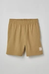 The North Face Box Nse Short In Bronze