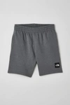 The North Face Box Nse Short In Dark Grey