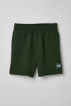 The North Face Box Nse Short In Dark Green