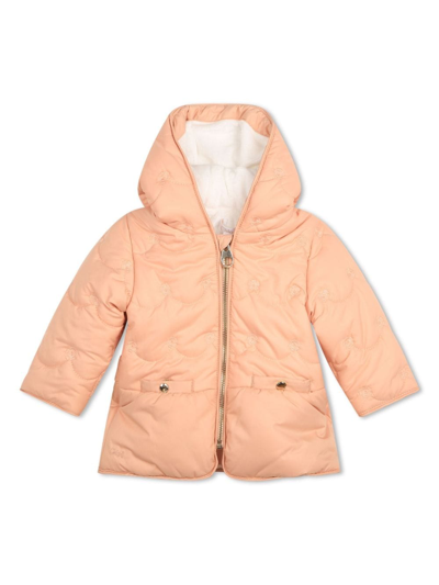 Chloé Babies' Floral-embroidered Padded Coat In Orange