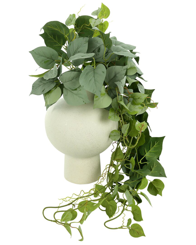 Creative Displays Green Ivy Arranged In Round Ceramic Vase