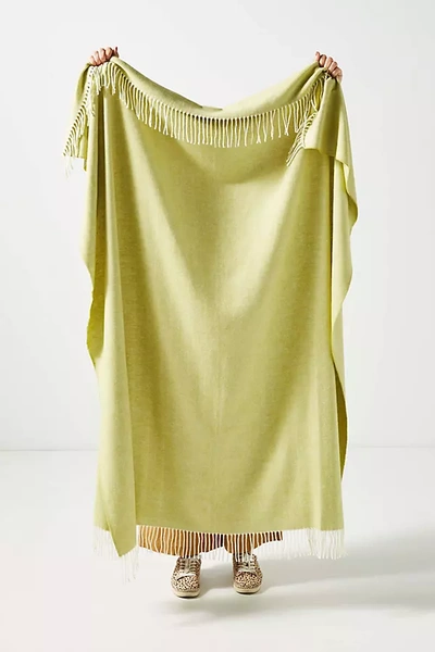 Lands Downunder Solid Herringbone Throw Blanket By  In Green Size One Size In Green