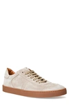 Bruno Magli Bono Sneaker In Sand Suede