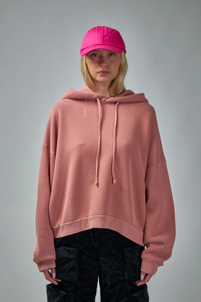 Acne Studios Hooded Sweatshirt In Vintage Pink